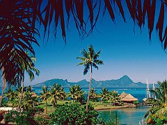 Moorea Island, Tahiti